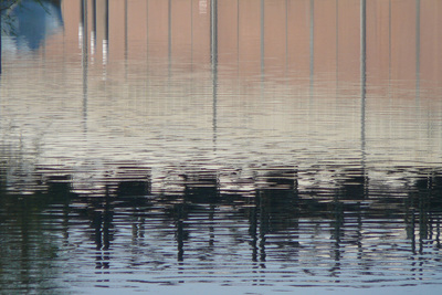 foto van Daniëlle van der Erve