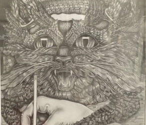 Lonneke Meijn Hoekstra