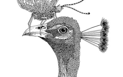 Marion van der Woude