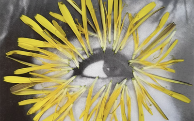 Katrine van Klaveren