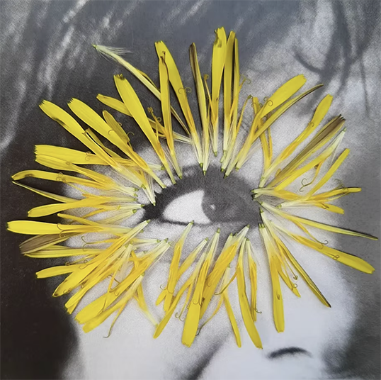 werk van Katrine van Klaveren