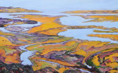 Annemarie van Bolhuis